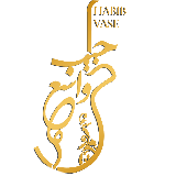 استاد حبیب واسع لشکری
