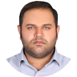 میر محمد رضا سید حبشی