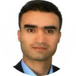 محمد سالمی